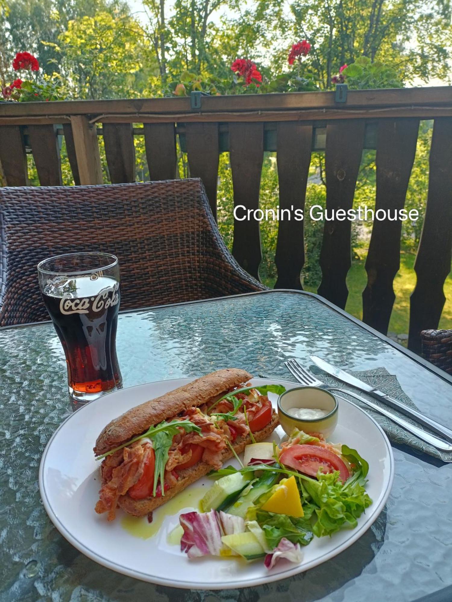 Cronin'S Guesthouse Bed & Breakfast Heinola Exterior photo